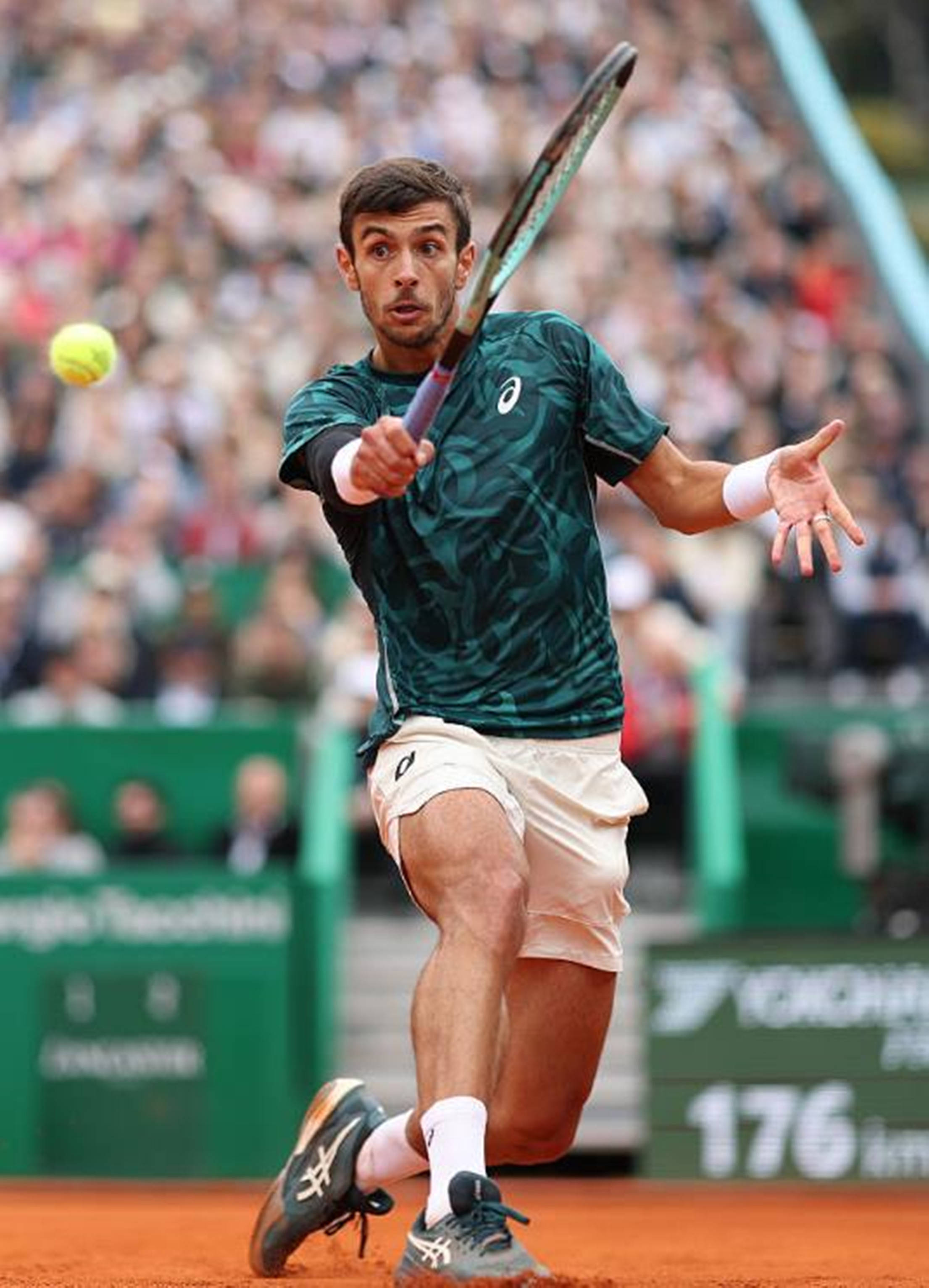 湖人和灰熊 湖人和灰熊