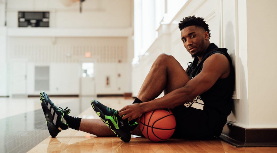 生物力学回 生物力学回